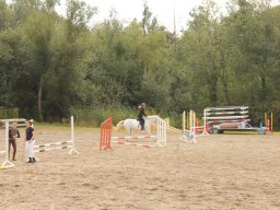 img_9623_web